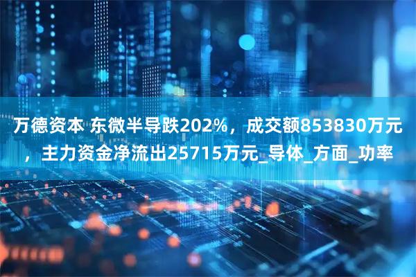万德资本 东微半导跌202%,成交额853830万元,主力资金净流出25715万元_导体_方面_功率