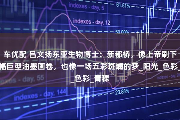 车优配 吕文扬东亚生物博士：新都桥，像上帝刷下的一幅巨型油墨画卷，也像一场五彩斑斓的梦_阳光_色彩_青稞