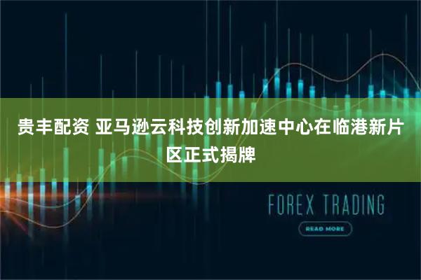 贵丰配资 亚马逊云科技创新加速中心在临港新片区正式揭牌