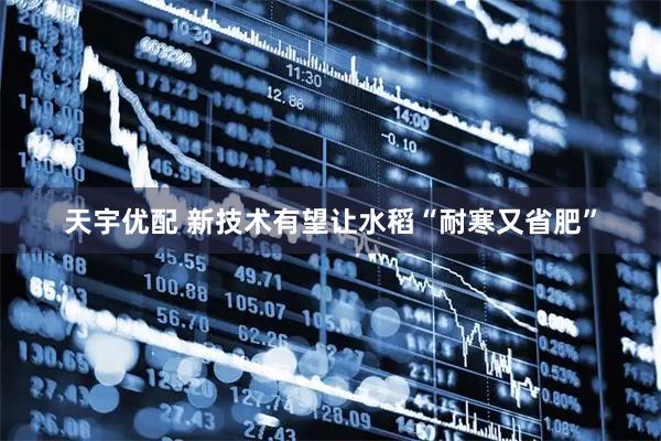 天宇优配 新技术有望让水稻“耐寒又省肥”